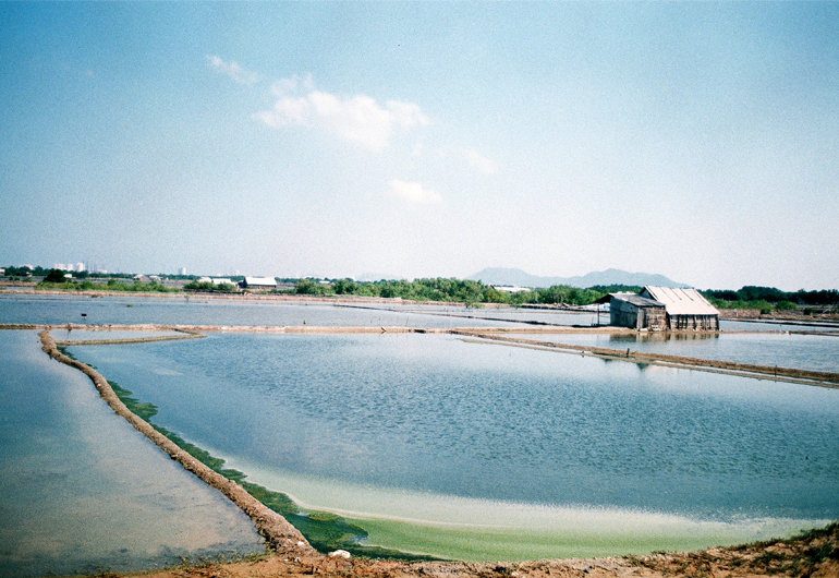 Vũng Tàu